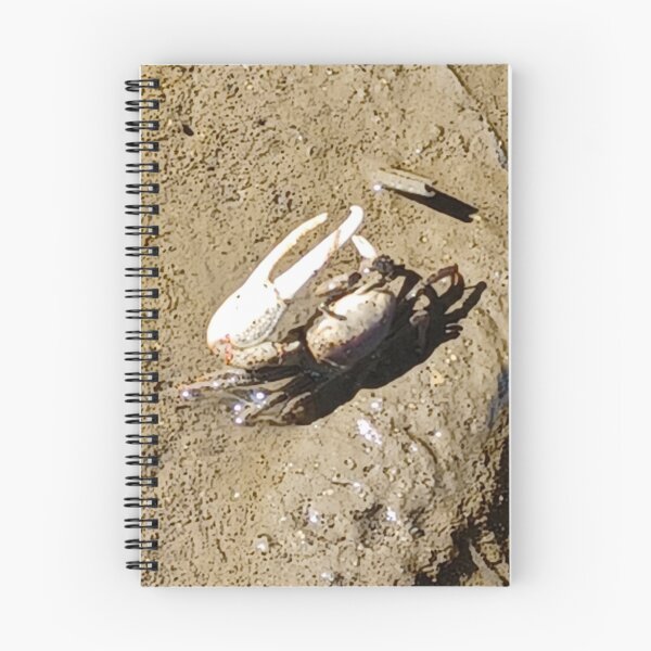 Item preview, Fiddler Crab Photo Charleston SC  designed and sold by chucktownjax.