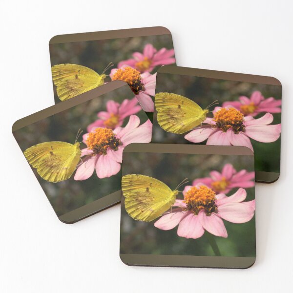 Item preview, Cloudless Sulphur Butterfly on Pink Zinnia Macro Photography designed and sold by Blossom-Breeze.