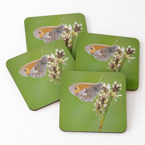 Item preview, Small Heath Butterfly designed and sold by heidipics.