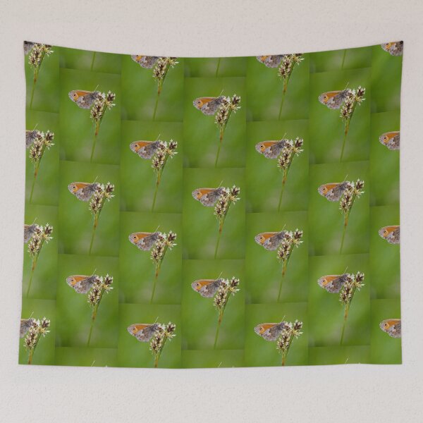Item preview, Small Heath Butterfly designed and sold by heidipics.