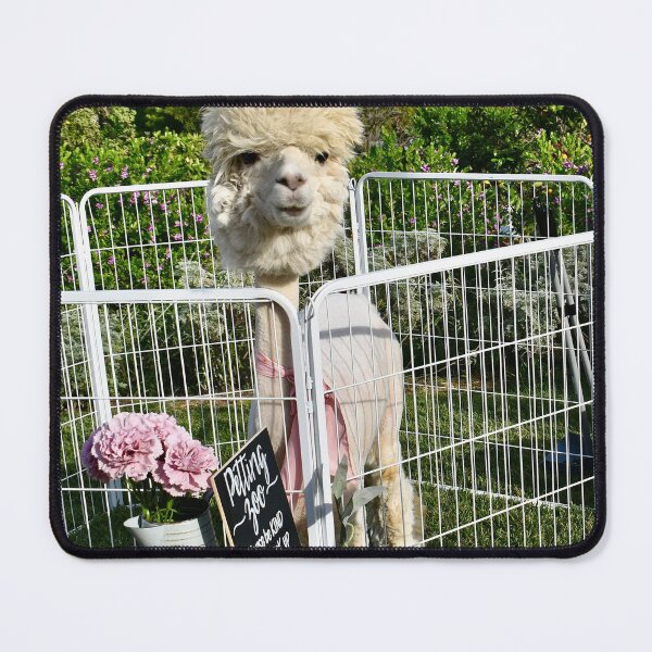 Item preview, Cute Alpaca at Petting Zoo Kids Birthday Party designed and sold by Yogibear & Rachelle .