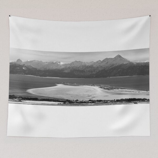 Item preview, Panoramic Homer Spit (b&w) designed and sold by zumi.