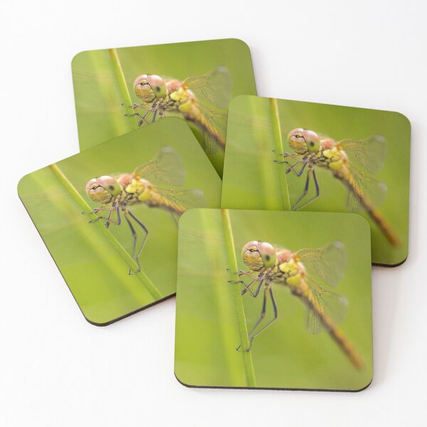 Item preview, Common Darter Dragonfly designed and sold by heidipics.