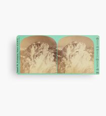 UFO SIGHTS Metal Print