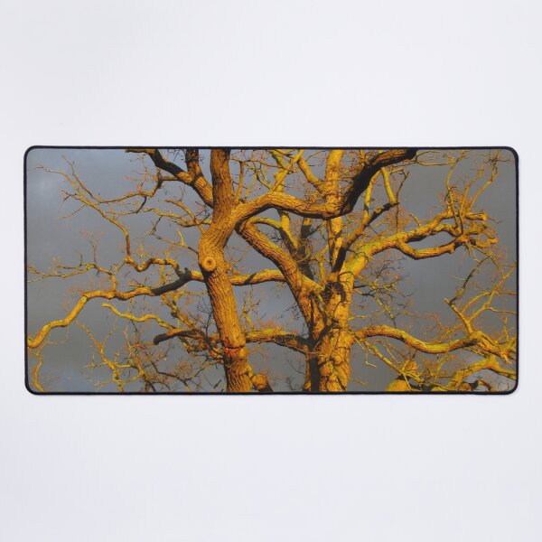 Item preview, Moody Tree II designed and sold by Katy Fryd.