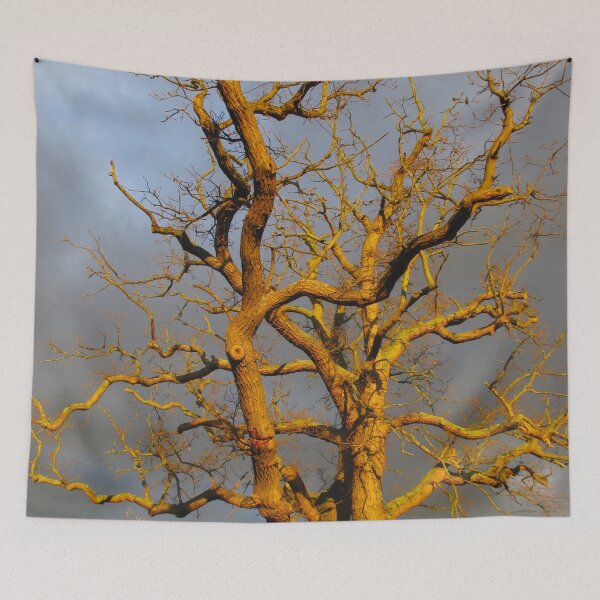 Item preview, Moody Tree II designed and sold by Katy Fryd.