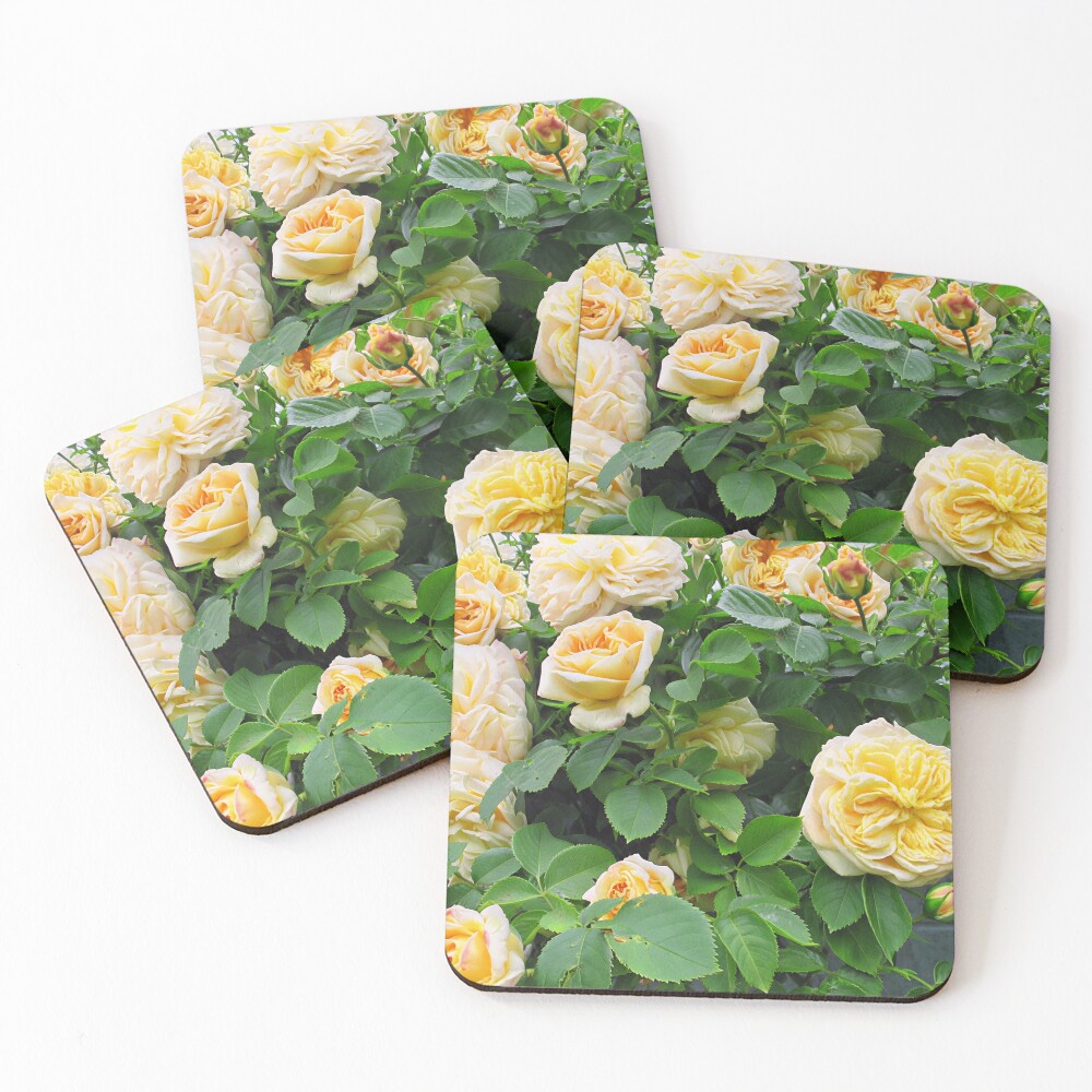 Item preview, Coasters (Set of 4) designed and sold by katyfryd.