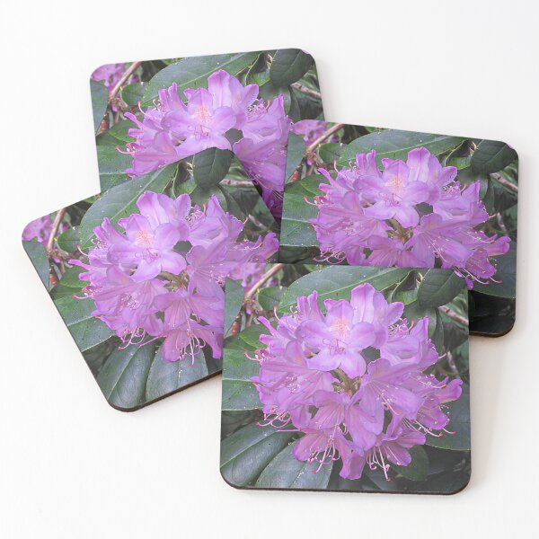 Item preview, Purple Rhododendron designed and sold by Katy Fryd.