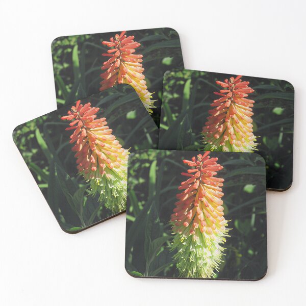 Item preview, Red Hot Poker designed and sold by Katy Fryd.