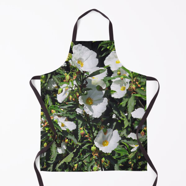 Item preview, Cistus × aguilarii 'Maculatus' designed and sold by Katy Fryd.
