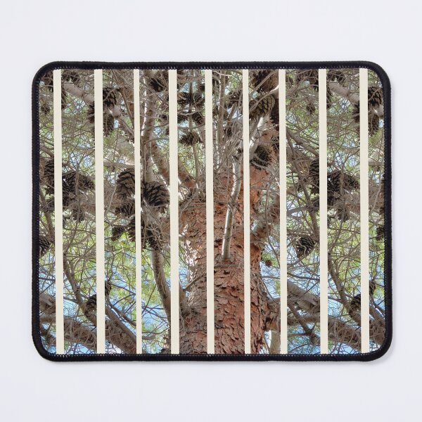 Item preview, Pine Tree Canopy with Cones - Striped Close-Up Nature Photography designed and sold by TheArtOfTreble.