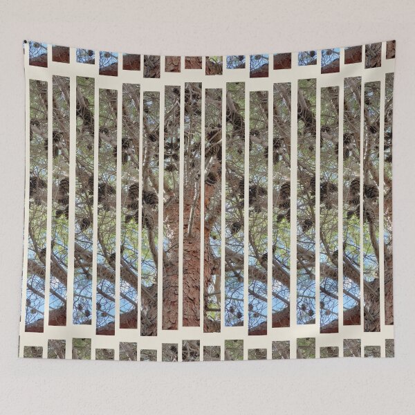 Item preview, Pine Tree Canopy with Cones - Striped Close-Up Nature Photography designed and sold by TheArtOfTreble.