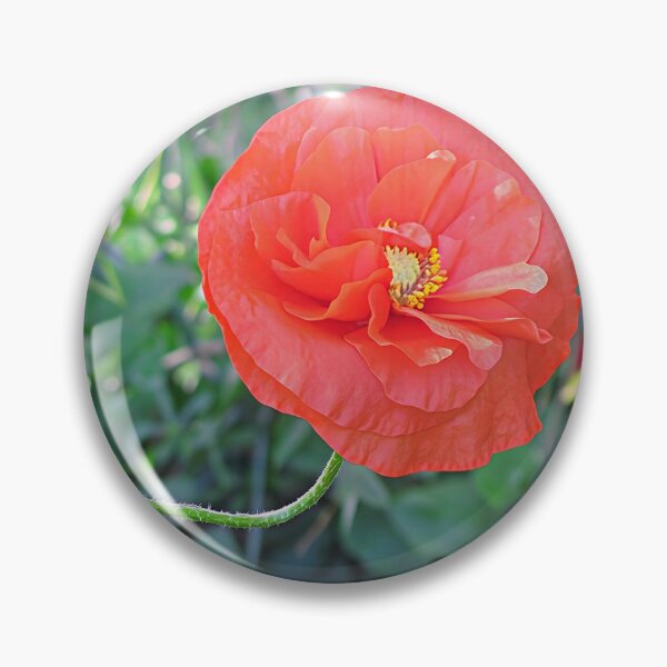 Artikelvorschau, Roter Mohn entworfen und verkauft von Katy Fryd.