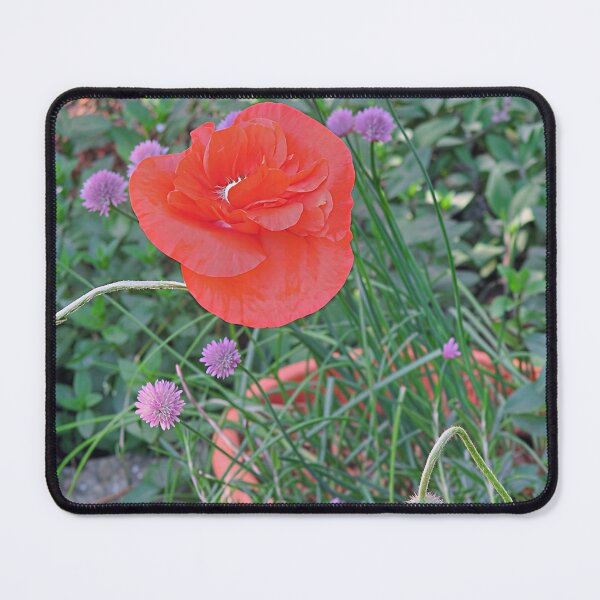 Item preview, Poppy and Chives designed and sold by Katy Fryd.