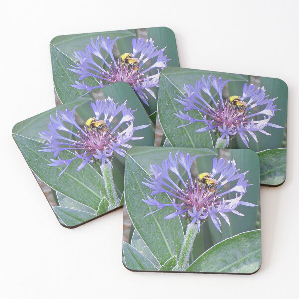 Item preview, Centaurea Montana Perennial Cornflower and Bee designed and sold by Katy Fryd.