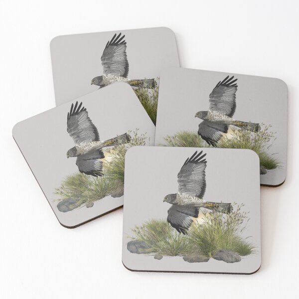 Item preview, Hunting Northern Harrier Hawk designed and sold by Wild DeZigns .
