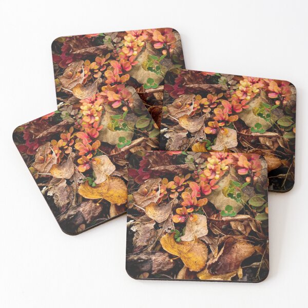Item preview, Autumn Regus Plc Iwg Plc Garden Beauty designed and sold by Mariflowers.