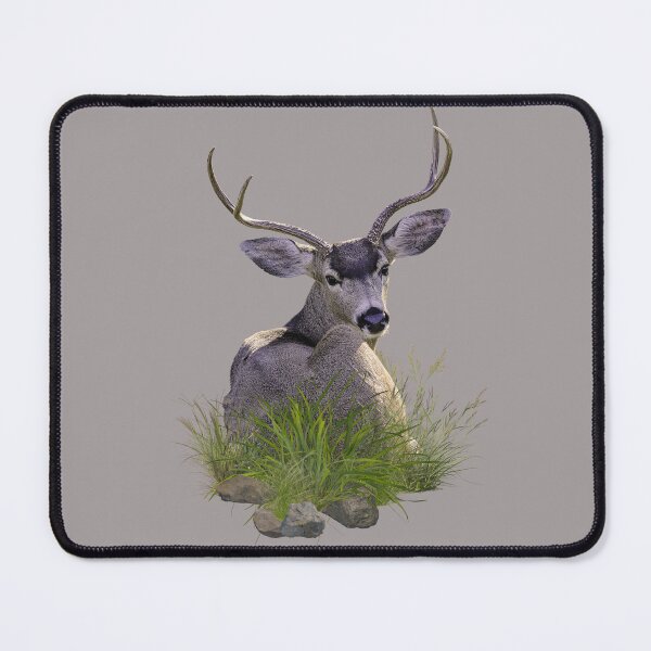 Item preview, Resting Deer designed and sold by Wild DeZigns .