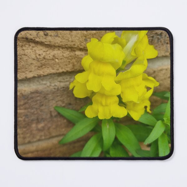Item preview, Snapdragon designed and sold by BrittanyWilton.