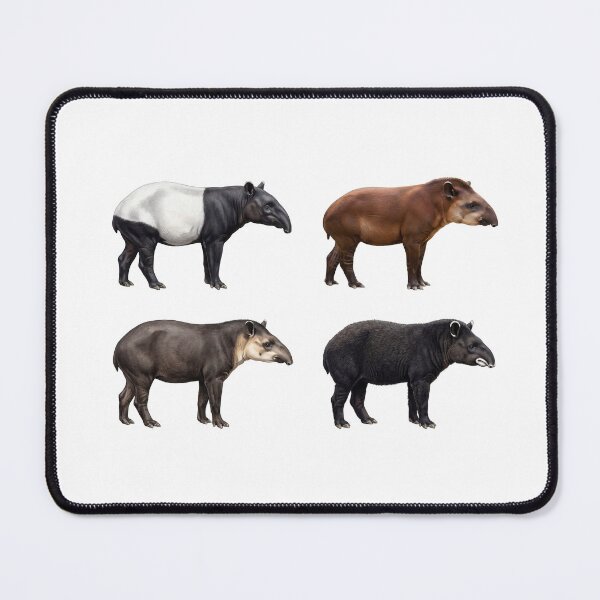 Item preview, Four Recognized Tapir Species designed and sold by ArunDandiboina.
