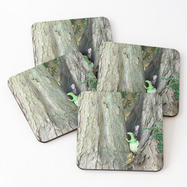 Item preview, Hatching designed and sold by Stephen Baird Photos.