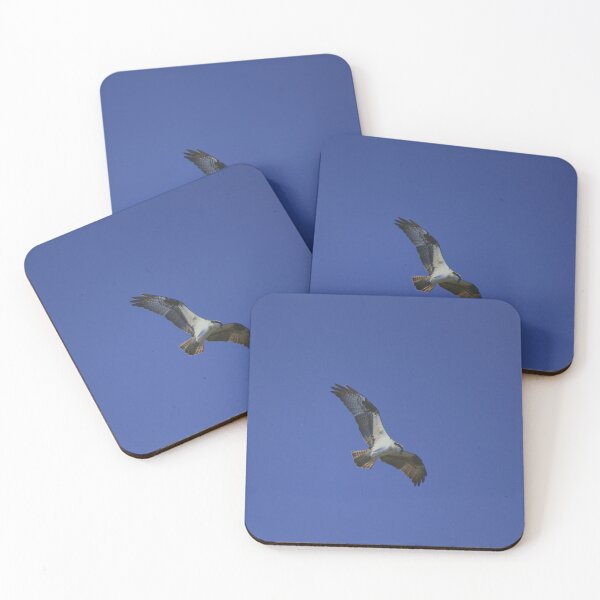 Item preview, Osprey Gliding Through Blue Sky designed and sold by MercerImages.