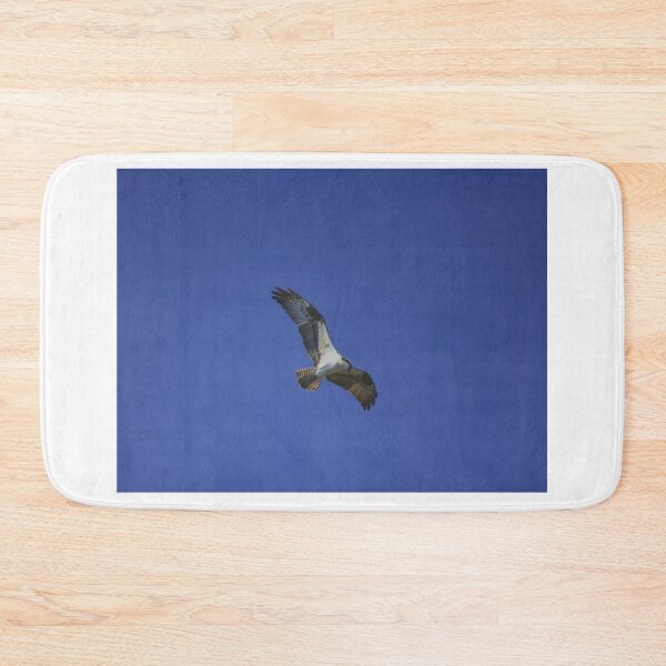 Item preview, Osprey Gliding Through Blue Sky designed and sold by MercerImages.