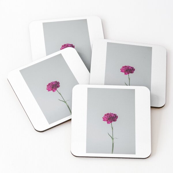Item preview, Solitary Carnation Photographic Print designed and sold by Mother-Nature65.