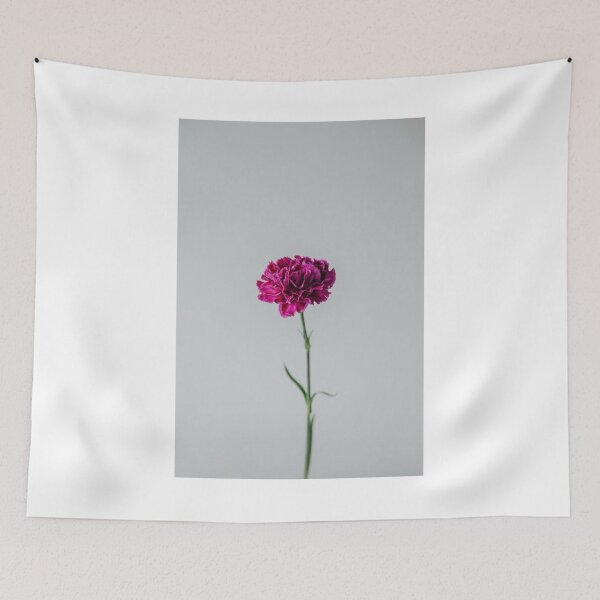 Item preview, Solitary Carnation Photographic Print designed and sold by Mother-Nature65.