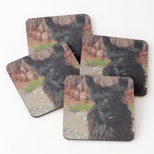 Item preview, Black Llama in Northern Argentina - South America Wildlife designed and sold by CarolinaReina.