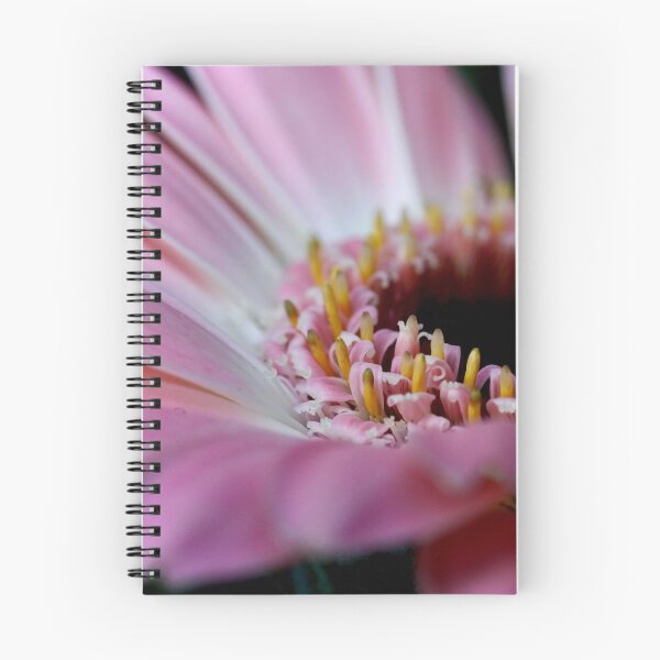 Item preview, The Gerbera daisy symbolizes cheerfulness, innocence, purity and friendship. designed and sold by Jonnekesart.