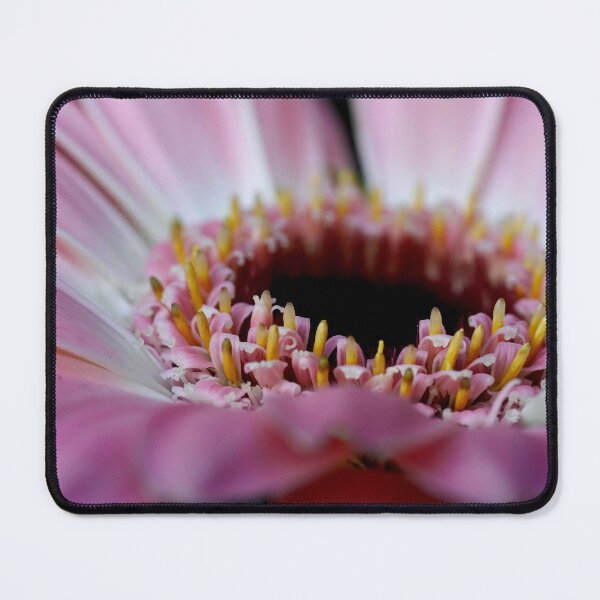 Item preview, The Gerbera daisy symbolizes cheerfulness, innocence, purity and friendship. designed and sold by Jonnekesart.