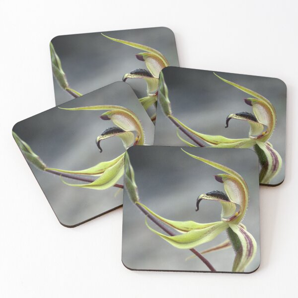 Item preview, Spring's Embrace designed and sold by Ben Loveday.