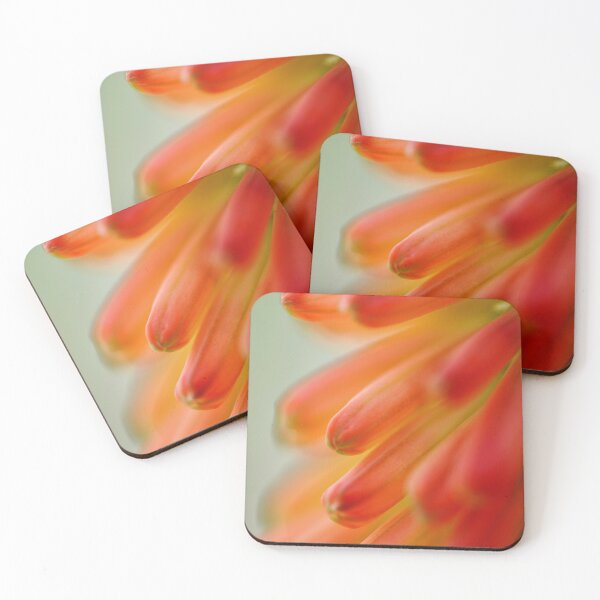 Item preview, close up of an orange succulent flower designed and sold by Jonnekesart.