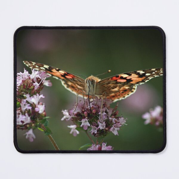 Item preview, wings of stained glass designed and sold by Murph's Images.