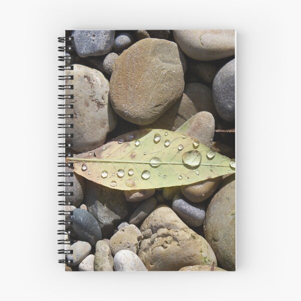 Item preview, Leaf with Water Drops Among Rocks designed and sold by coribeth.