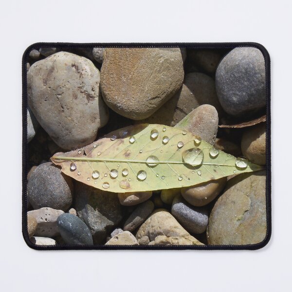 Item preview, Leaf with Water Drops Among Rocks designed and sold by coribeth.