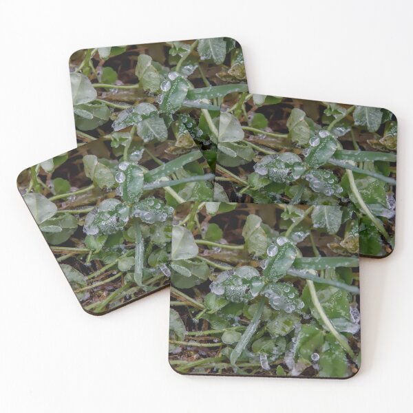 Item preview, Winter's Kiss on Green Clover Leaves designed and sold by ShotsbyDesiree.