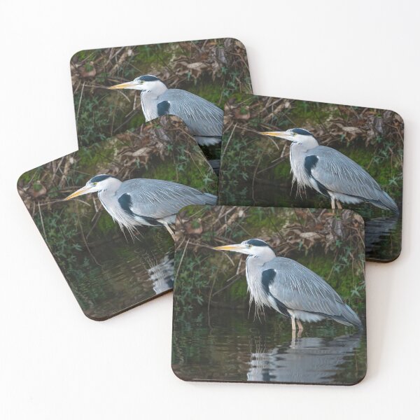 Item preview, Grey Heron (Ardea cinerea) standing in water designed and sold by Stephen Jarman.