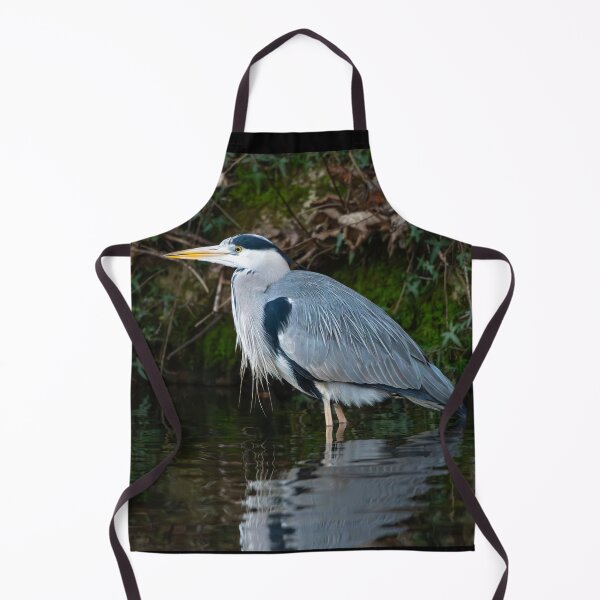Item preview, Grey Heron (Ardea cinerea) standing in water designed and sold by Stephen Jarman.