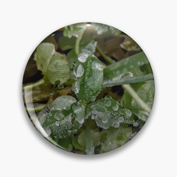 Item preview, Crystalline Frost on Clover Macro designed and sold by ShotsbyDesiree.