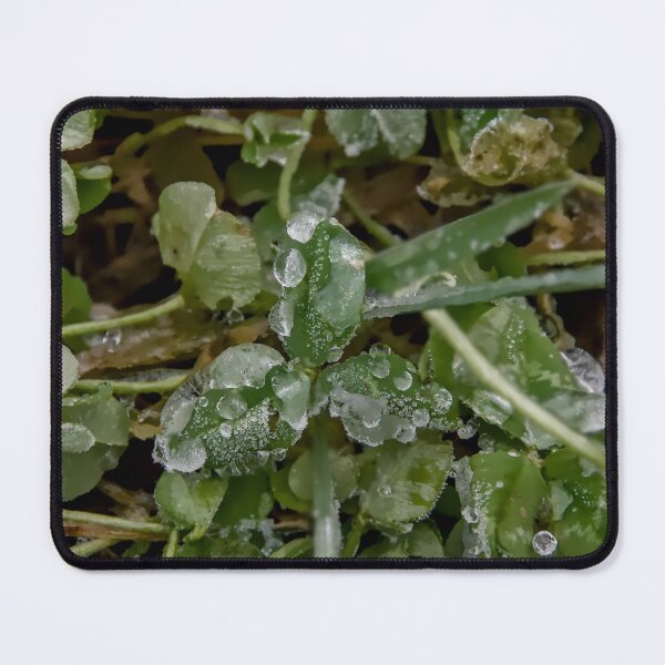 Item preview, Crystalline Frost on Clover Macro designed and sold by ShotsbyDesiree.