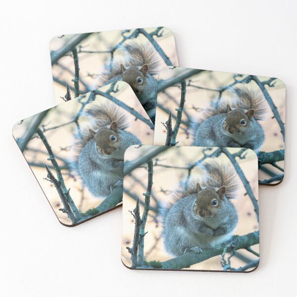 Item preview, Eastern grey squirrel (Sciurus carolinensis) designed and sold by Stephen Jarman.