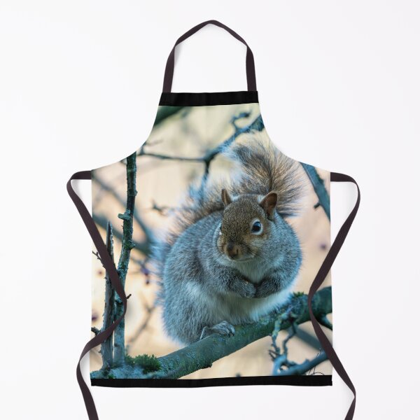 Item preview, Eastern grey squirrel (Sciurus carolinensis) designed and sold by Stephen Jarman.
