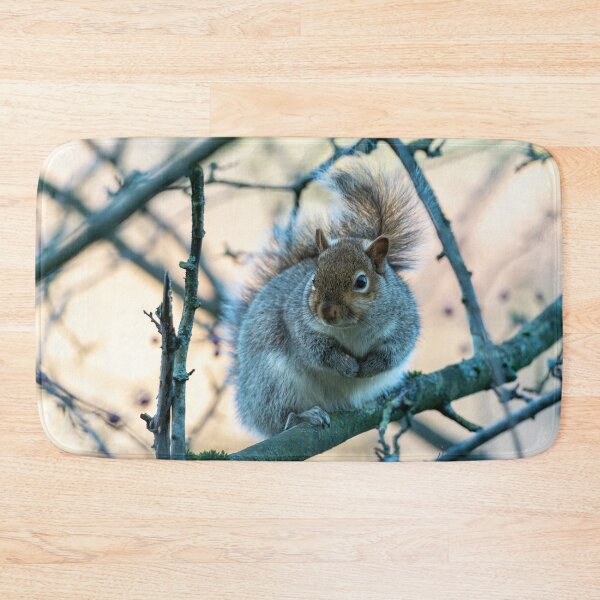 Item preview, Eastern grey squirrel (Sciurus carolinensis) designed and sold by Stephen Jarman.