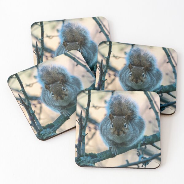 Item preview, Eastern grey squirrel (Sciurus carolinensis) designed and sold by Stephen Jarman.
