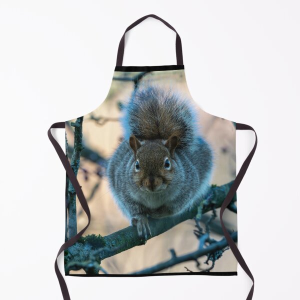 Item preview, Eastern grey squirrel (Sciurus carolinensis) designed and sold by Stephen Jarman.