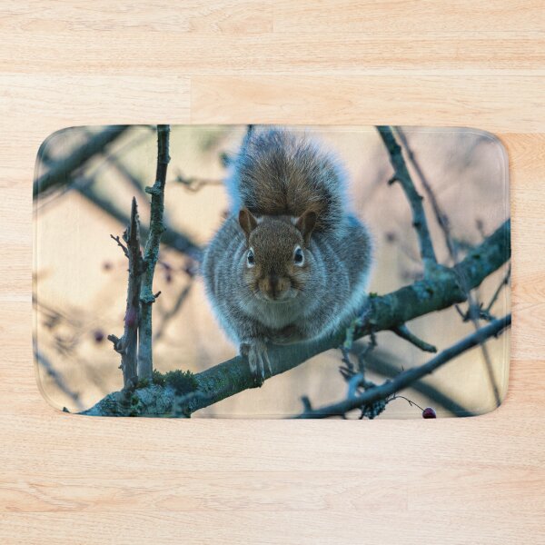 Item preview, Eastern grey squirrel (Sciurus carolinensis) designed and sold by Stephen Jarman.
