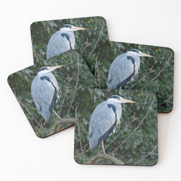 Item preview, Grey Heron (Ardea cinerea) standing on a branch  designed and sold by Stephen Jarman.