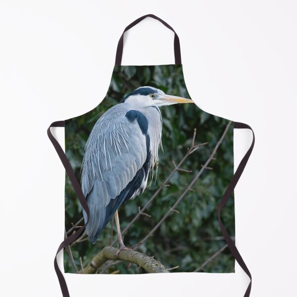 Item preview, Grey Heron (Ardea cinerea) standing on a branch  designed and sold by Stephen Jarman.